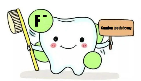 The fluoride can prevent caries happening.