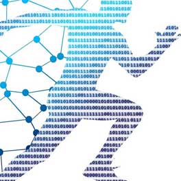 What is the action mechanism of sodium monofluorophosphate?