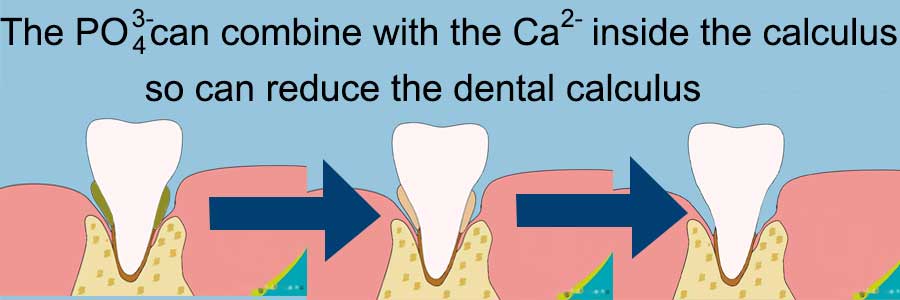 Diagram of how photosphate reduce calculus