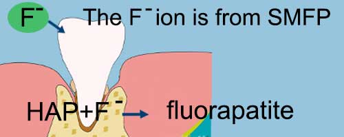 Diagram of how fluoride ion works on the tooth