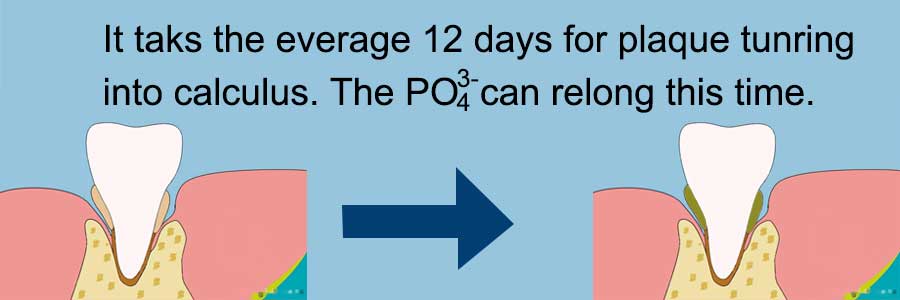 Diagram of how phophate ion to relong the calculus forming