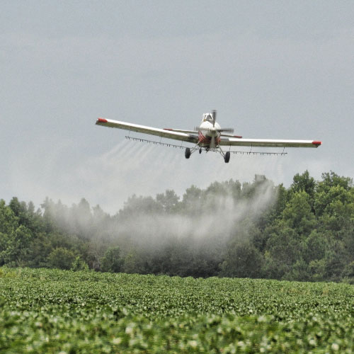 Sodium monofluorophosphate Industrial Grade