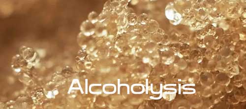 picture of alcoholysis