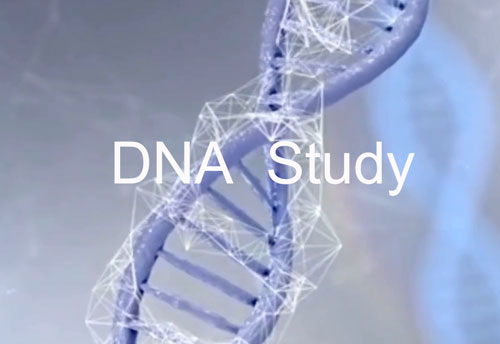 picuture of DNA
