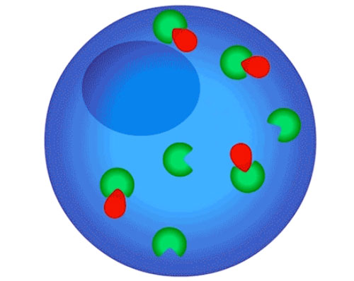 picture shows the dose-response relationship diagram
