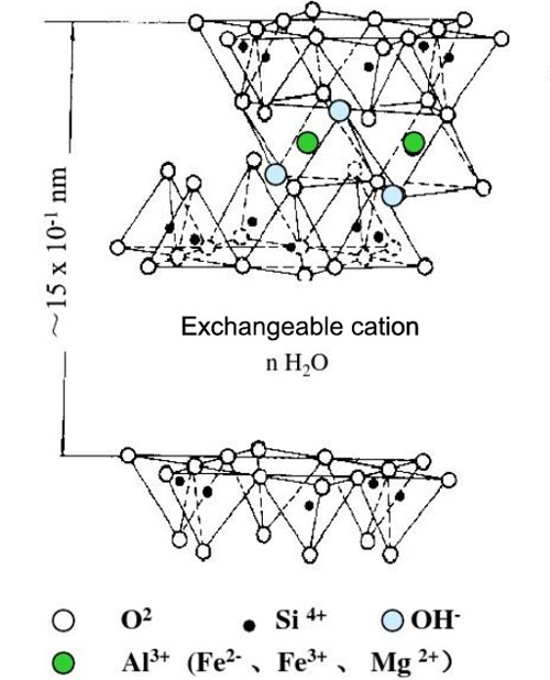 Schematic diagram of the Montmorillonite
