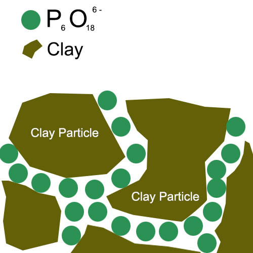 Schematic diagram of SHMP dispersion mechanismes