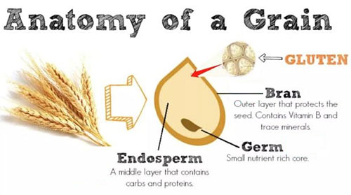 The gluten can be found from grain