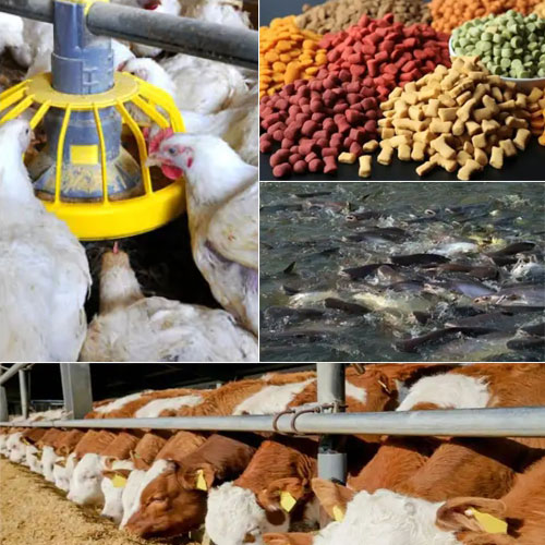 Disodium Hydrogen Phosphate