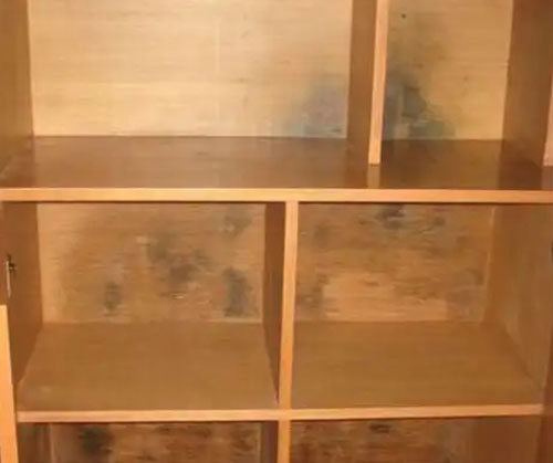 mold on wooden furniture