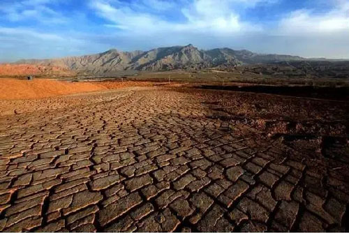 soil needs to improve pH value