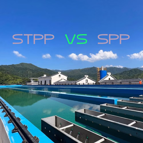 sodium tripolyphosphate vs sodium pyrophosphate