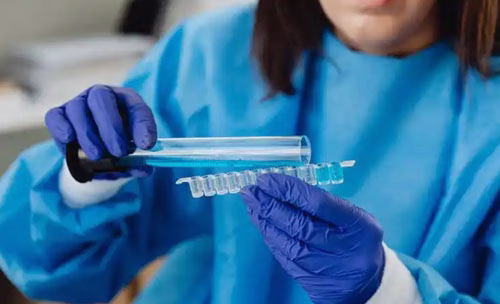 food ingredient inspection