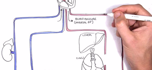 mechanism of blood pressure