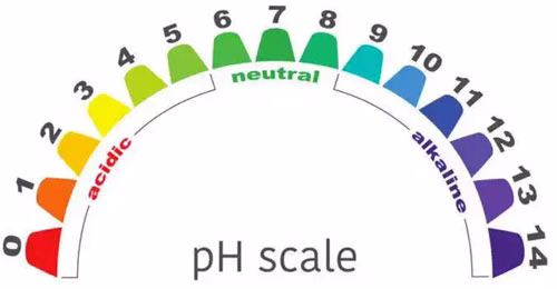 pH scale