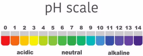 pH scale